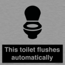this-toilet-flushes-automatically~